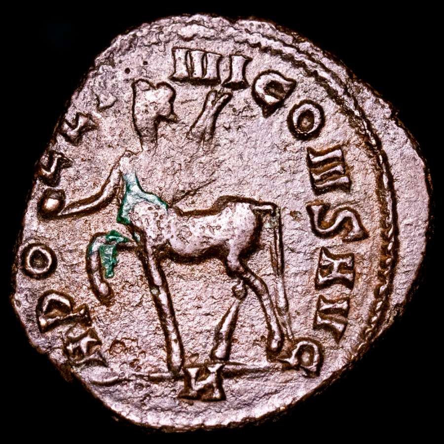 Coin image