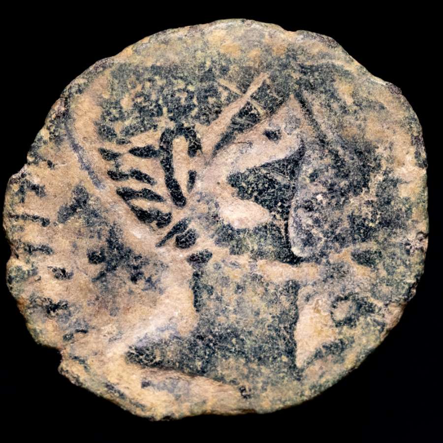 Coin image