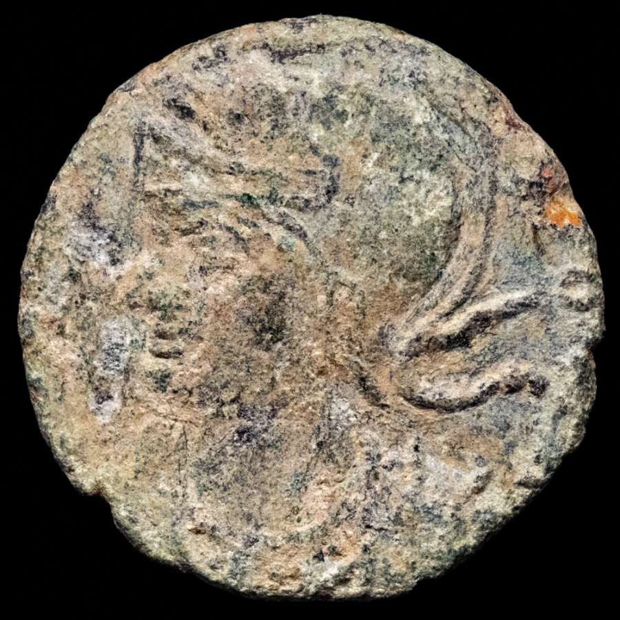 Coin image