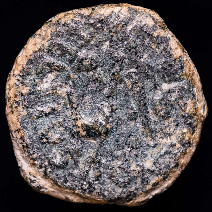 Coin image