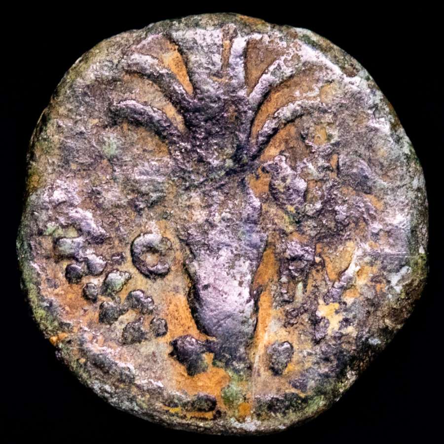 Coin image