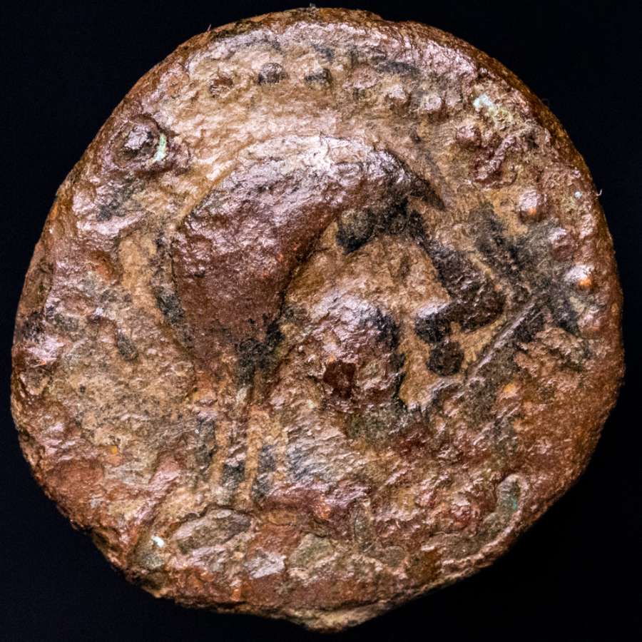 Coin image