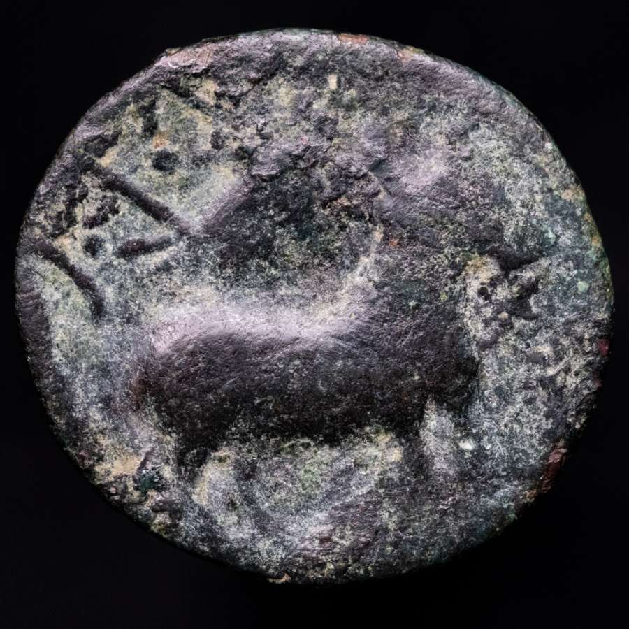Coin image