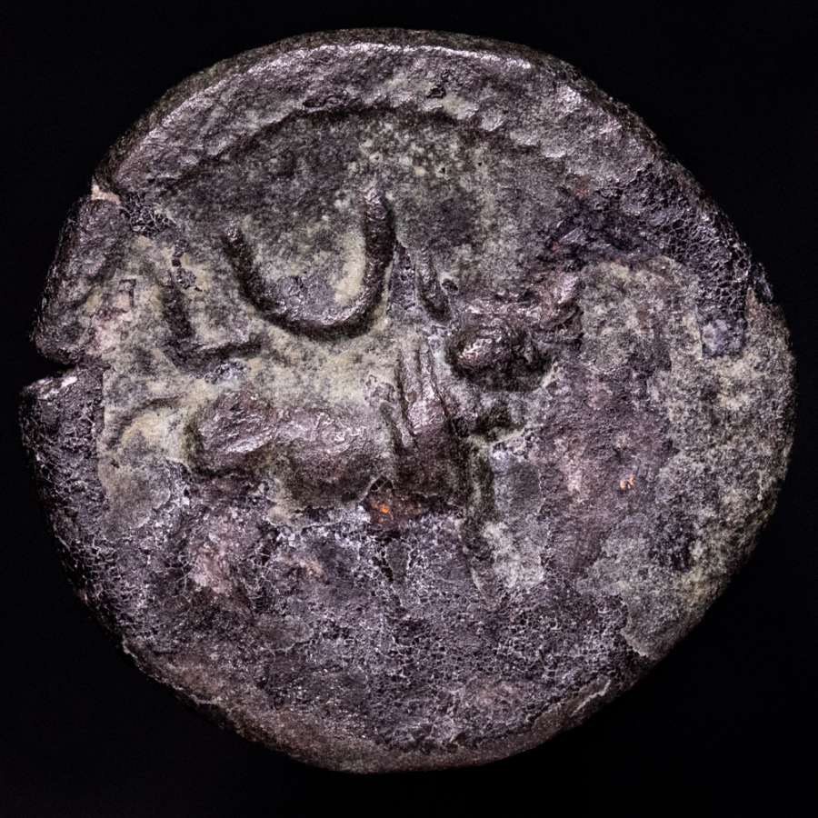 Coin image