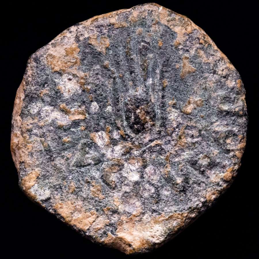 Coin image