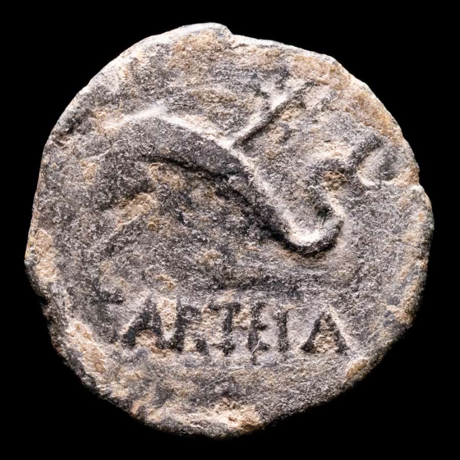lote-de-2-monedas-romanas-carteia-2039-lucernae-numism-tica