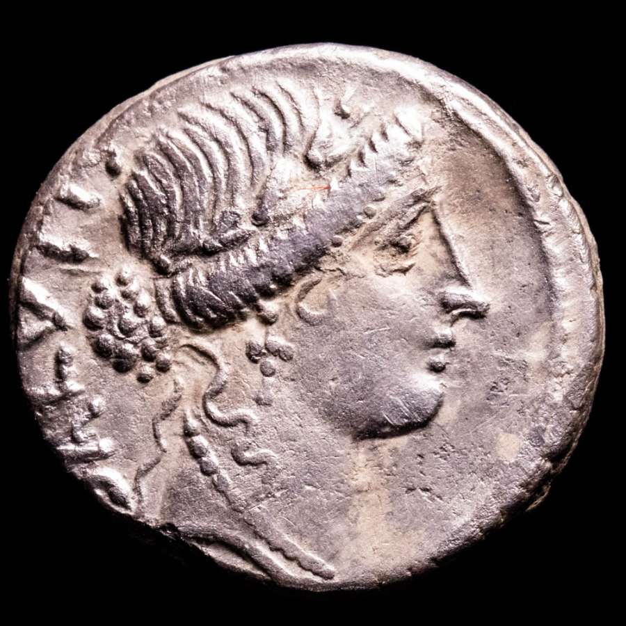 Rep. Romana, Man. Acilius Glabrio, denario. Roma, 49 aC SALVTI ...