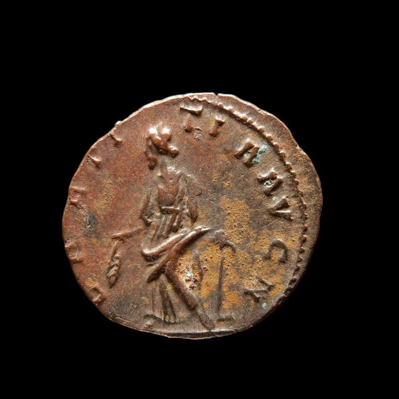 Coin image