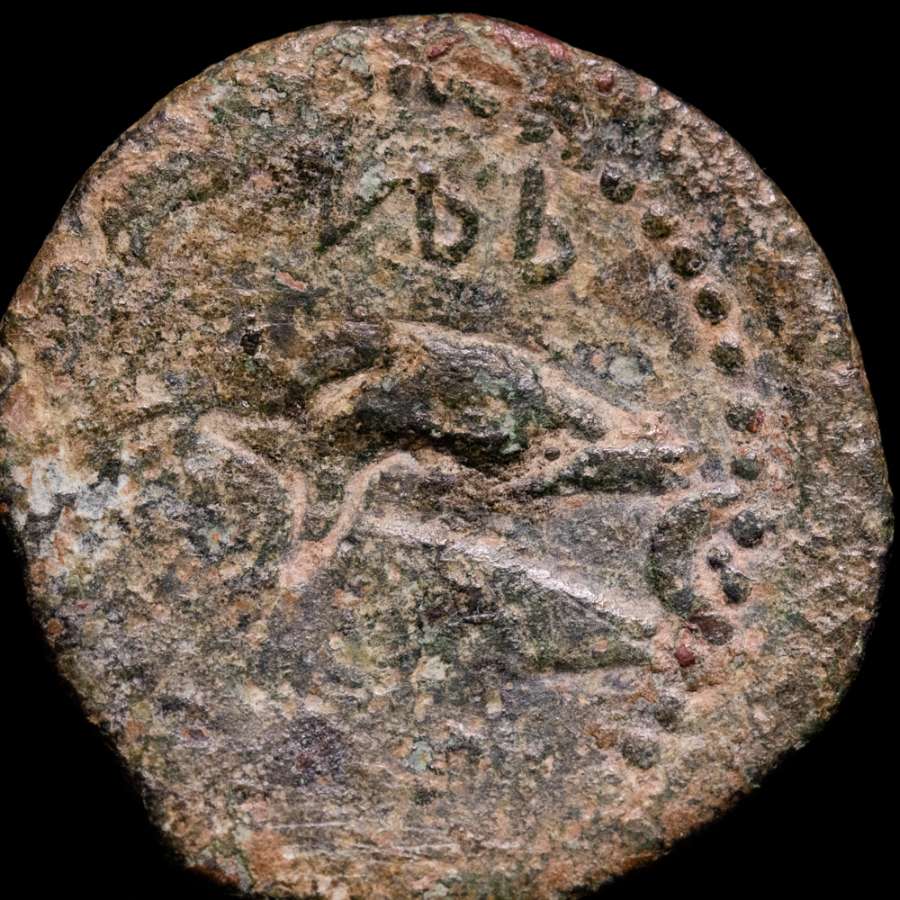 Coin image