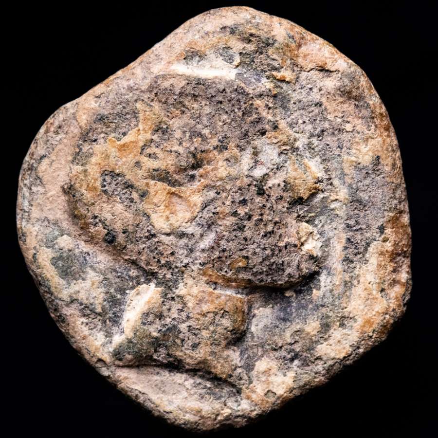 Coin image