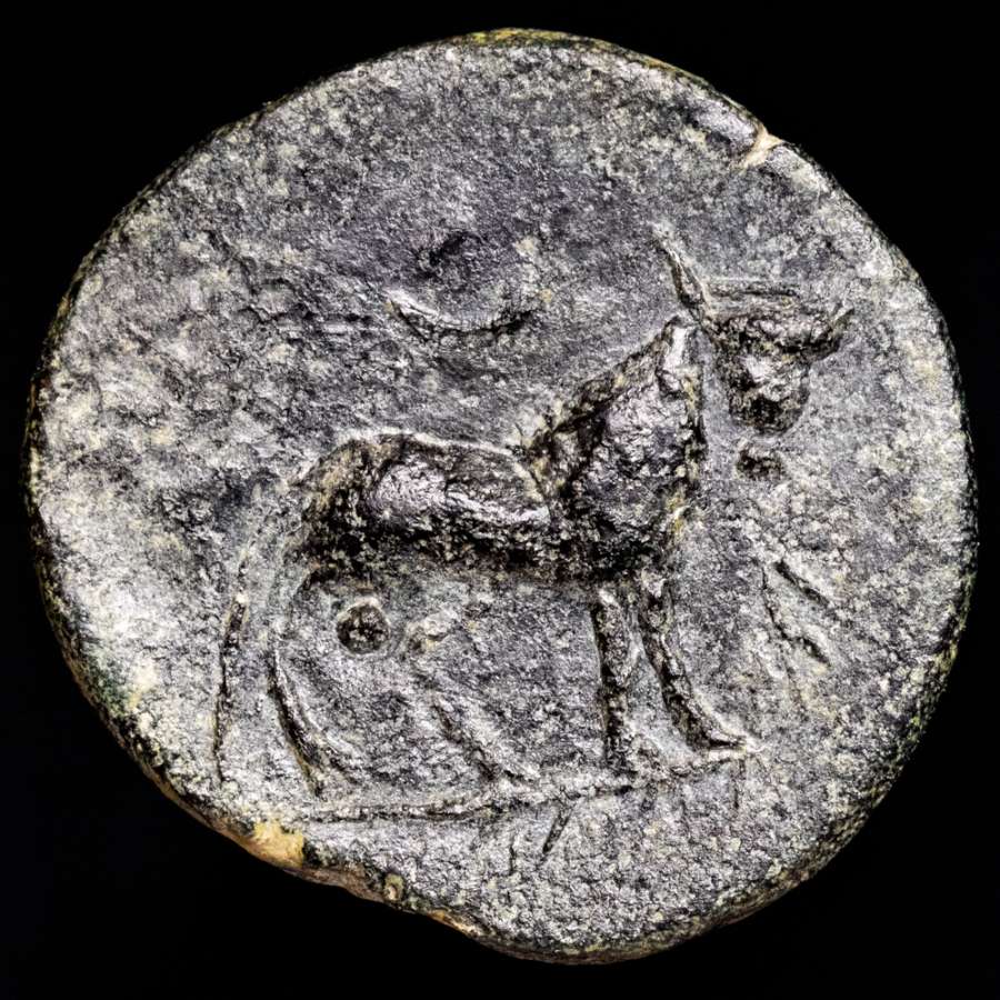 Coin image