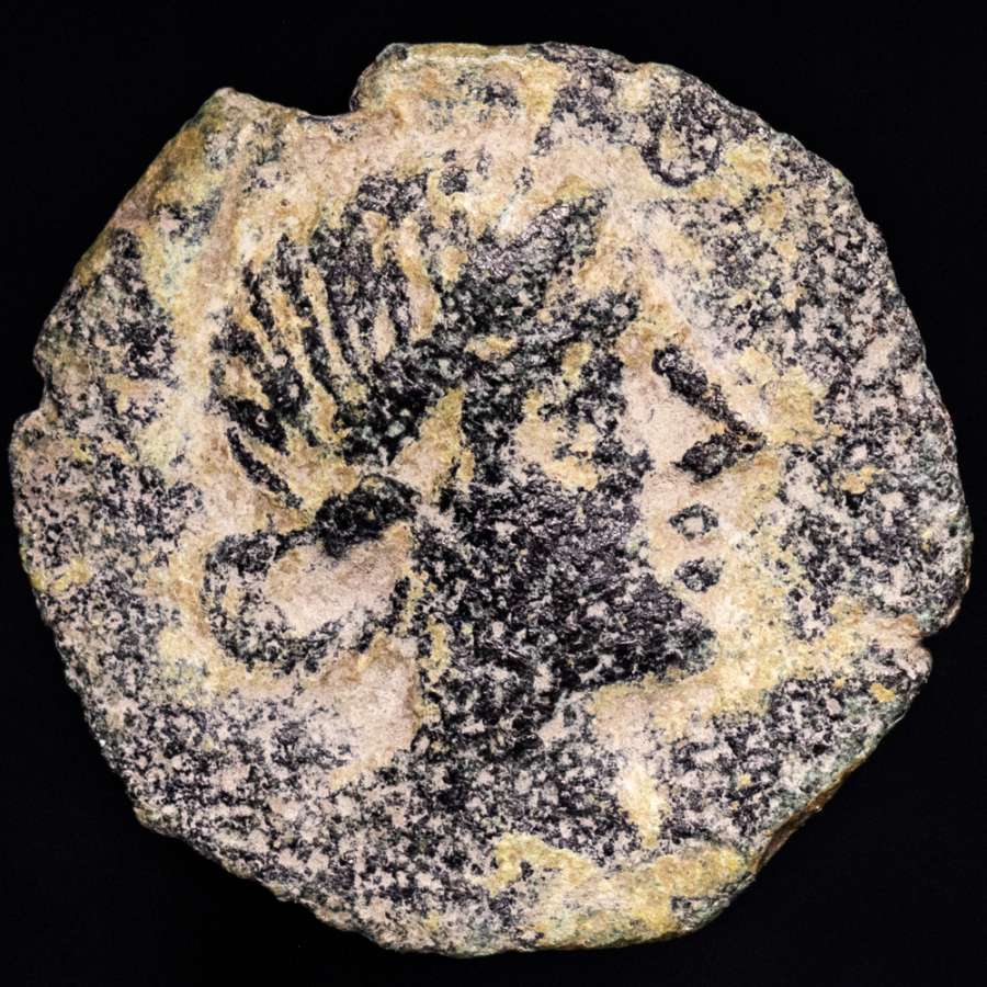 Coin image