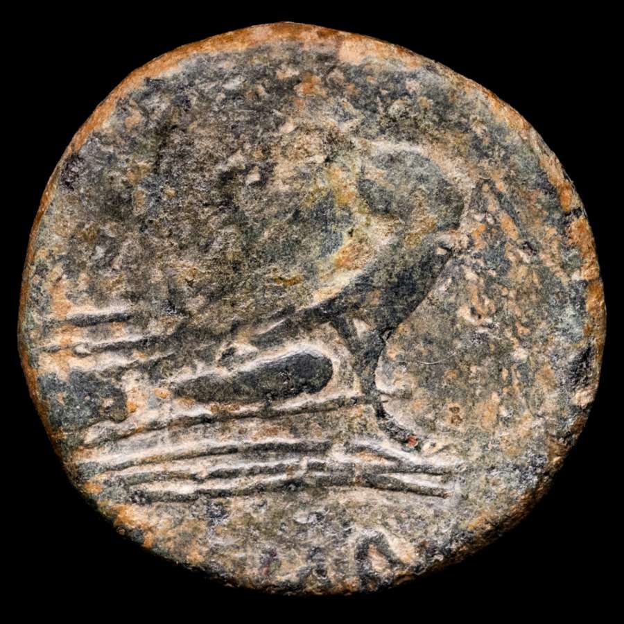 Coin image