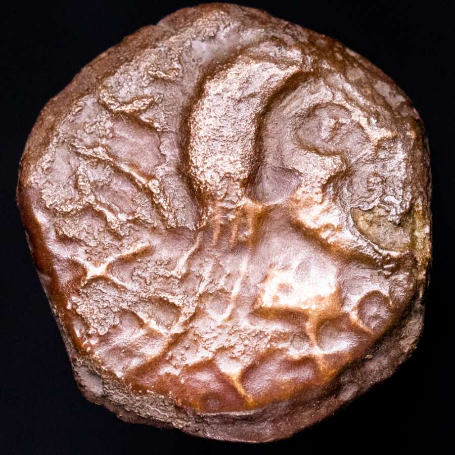 Coin image