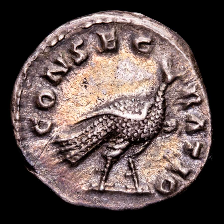 Coin image