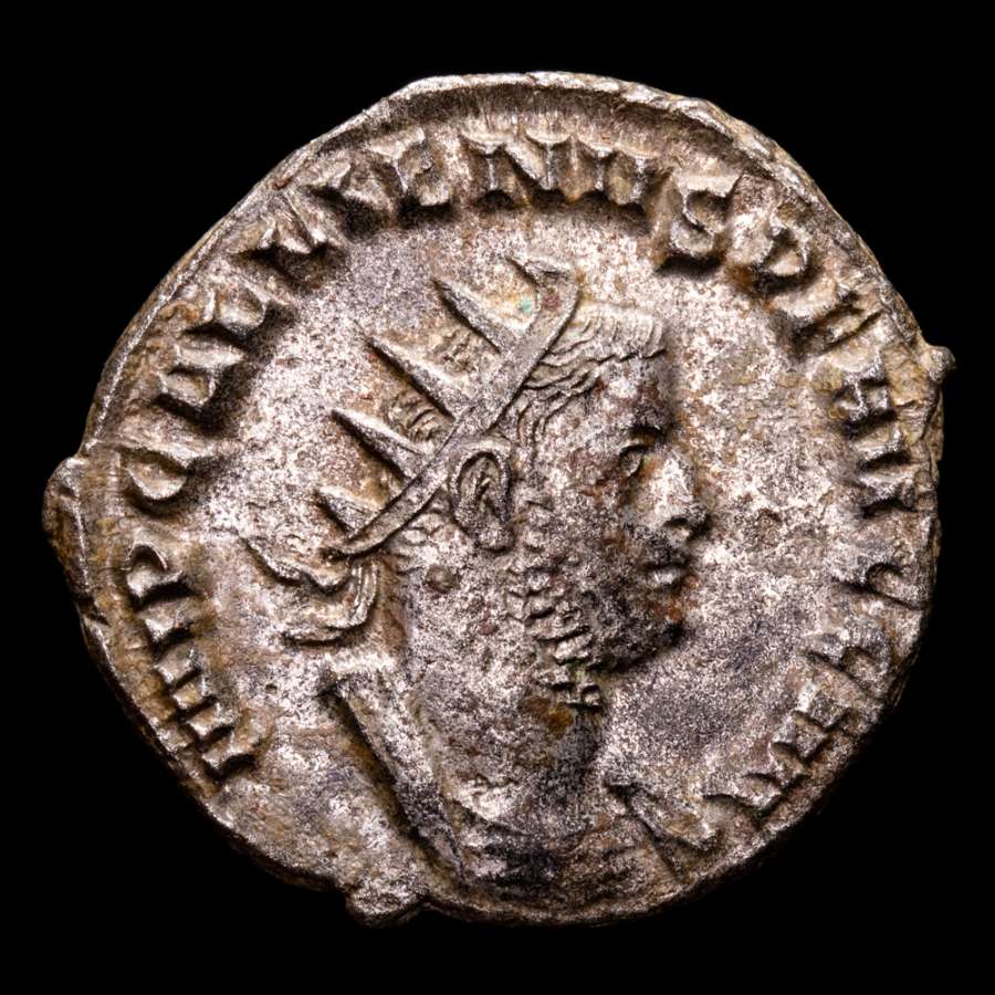 *Lucernae* Gallienus Antoninianus PAX AVGG V Viminacium 254-255 A.D.