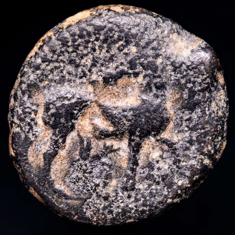 Coin image